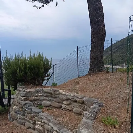 Casafischea 21 Via Venino 21 B Apartment Moneglia